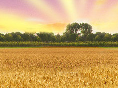 九游游戏中心基地展示3